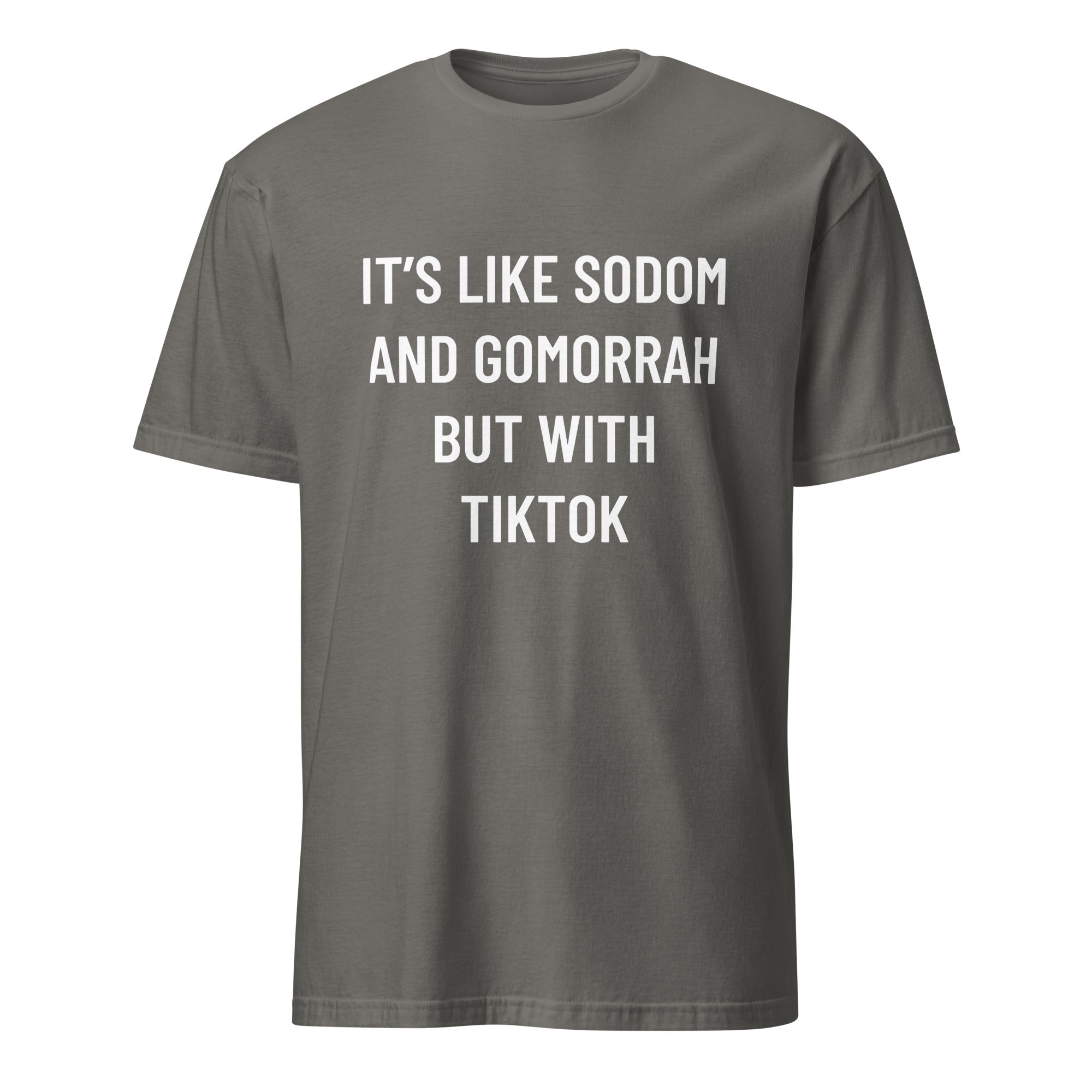 IT'S LIKE SODOM AND GOMORRAH BUT WITH TIKTOK blackpill statement t-shirt in Grey | BASED ALT-WEAR