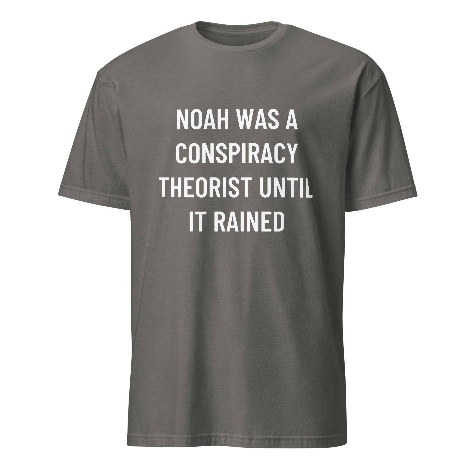 NOAH WAS A CONSPIRACY THEORIST UNTIL IT RAINED Biblical-meets-prepper satire statement t-shirt in Grey | BASED ALT-WEAR