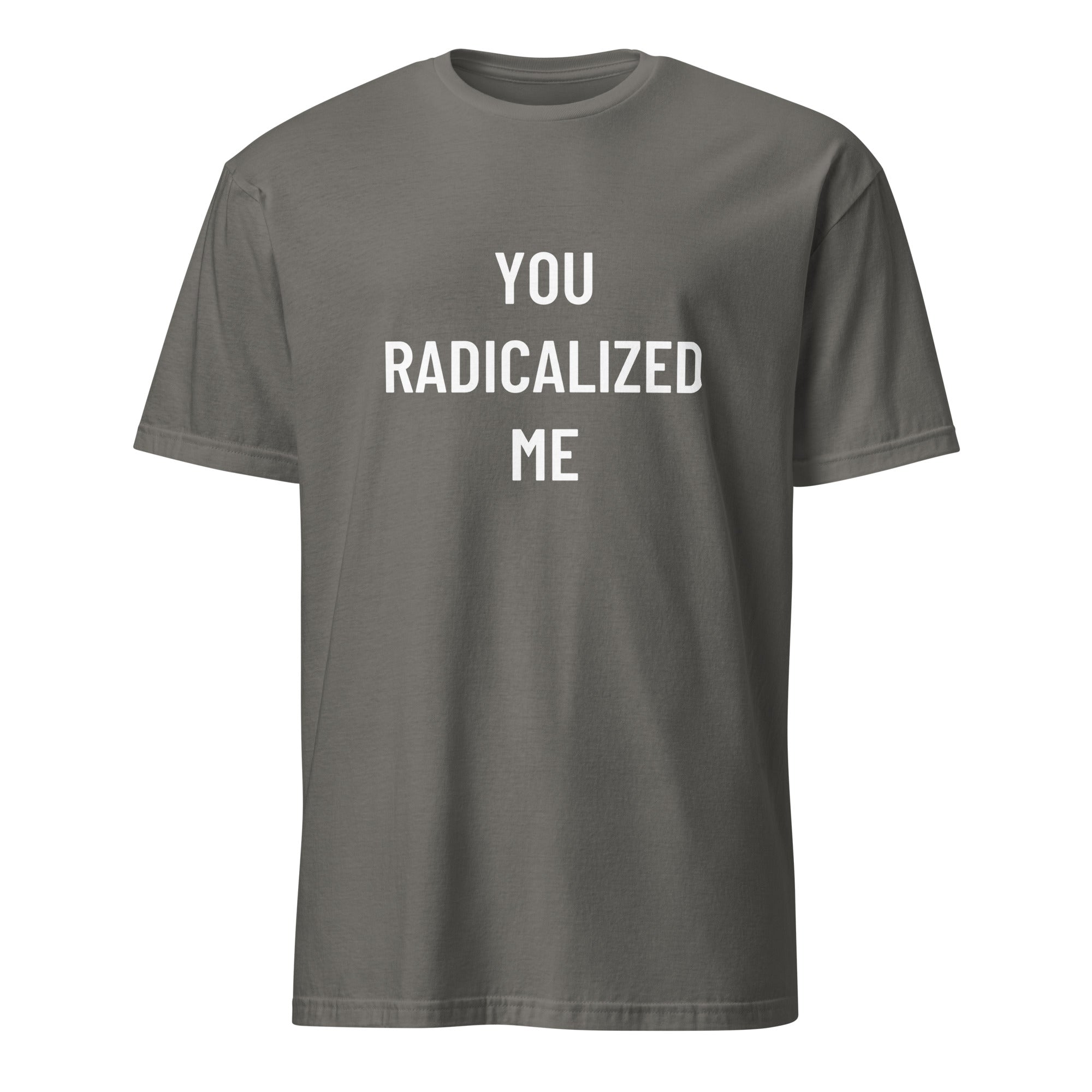 YOU RADICALIZED ME anti-establishment statement t-shirt in Grey | BASED ALT-WEAR