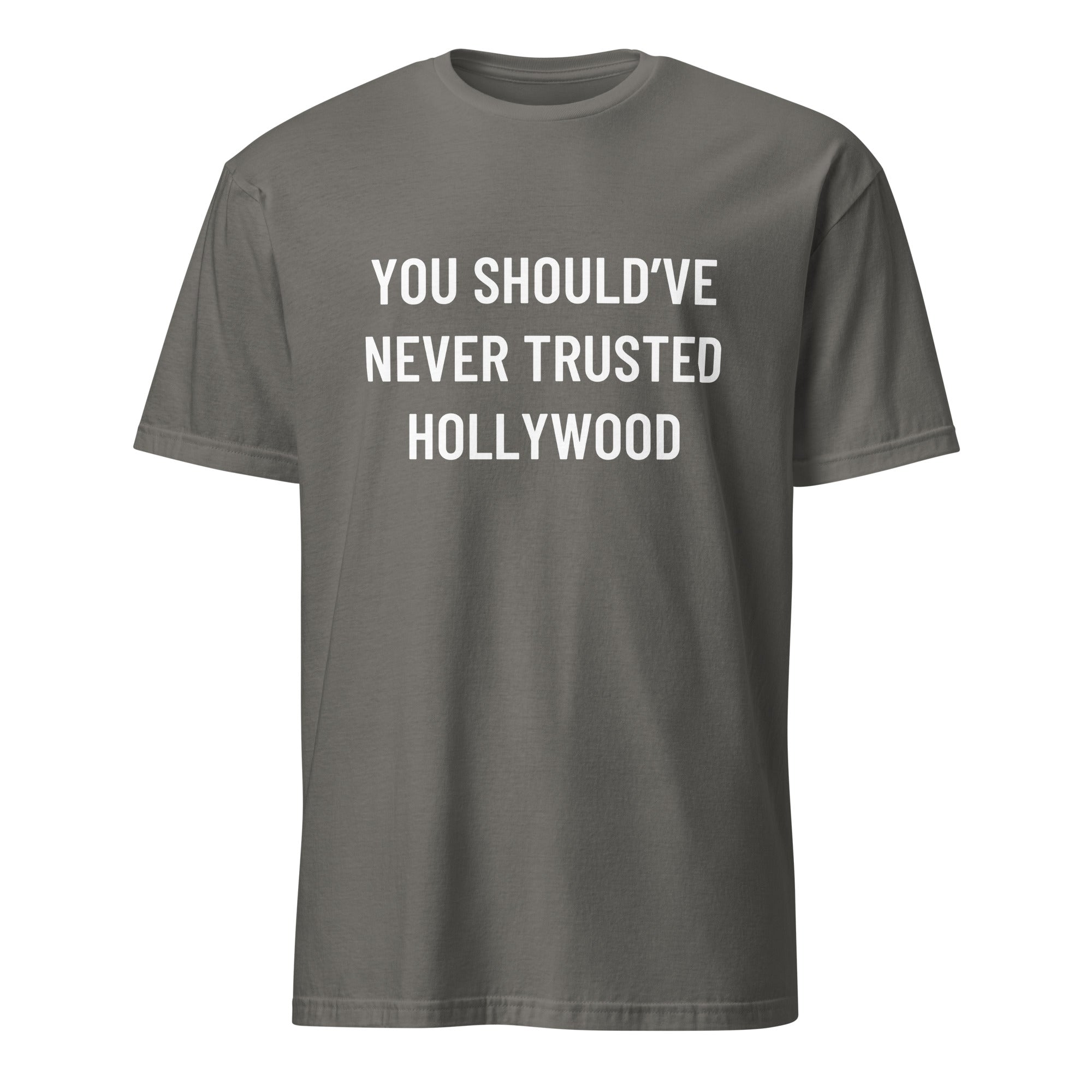 YOU SHOULD'VE NEVER TRUSTED HOLLYWOOD anti-Hollywood statement t-shirt in Grey | BASED ALT-WEAR