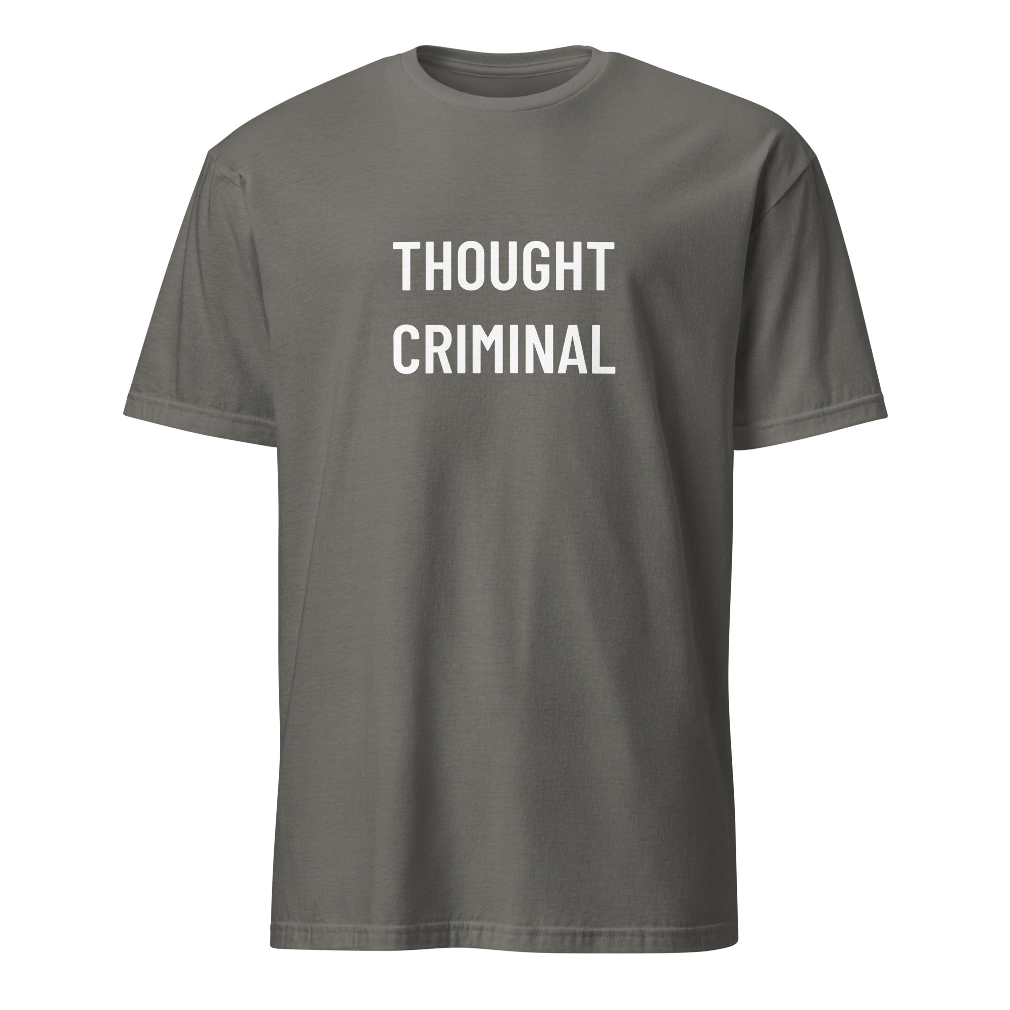 THOUGHT CRIMINAL Orwellian statement t-shirt in Grey | BASED ALT-WEAR