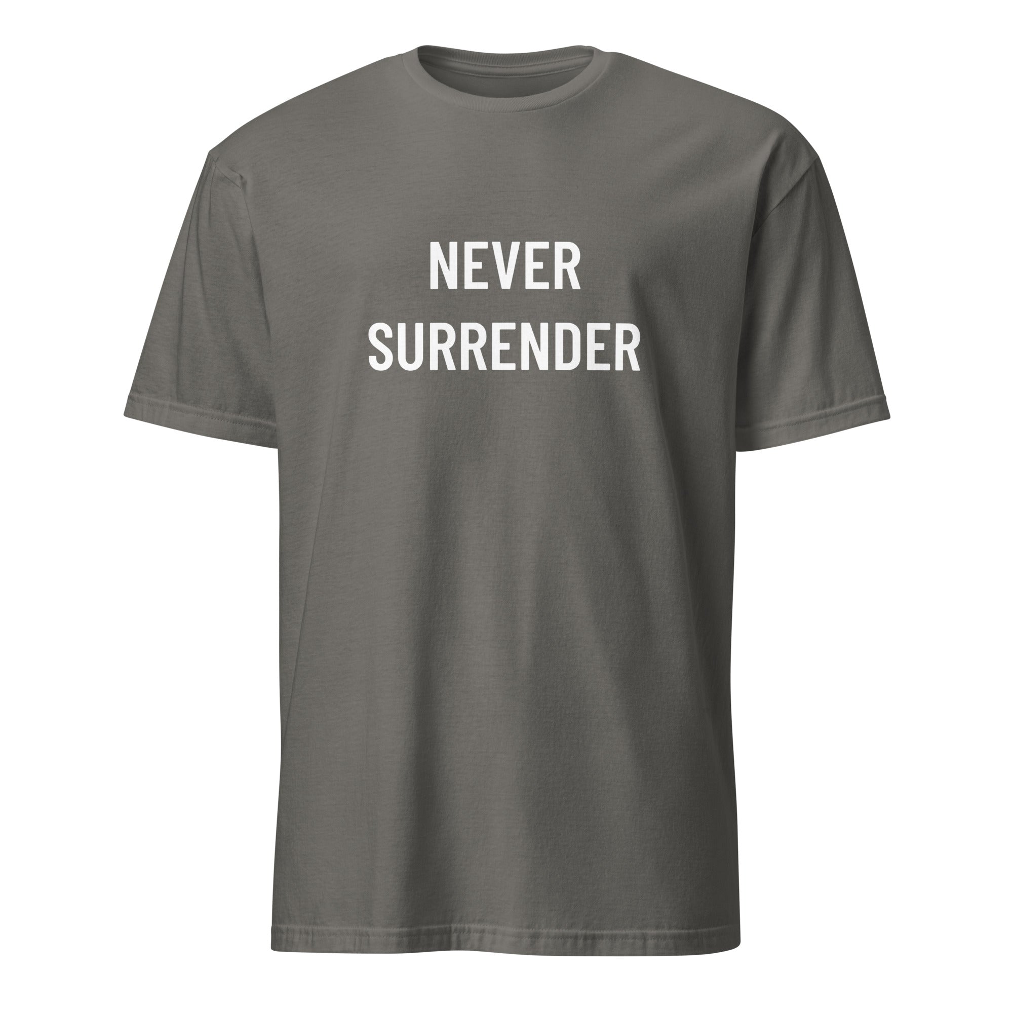 NEVER SURRENDER defiant statement t-shirt in Grey | BASED ALT-WEAR