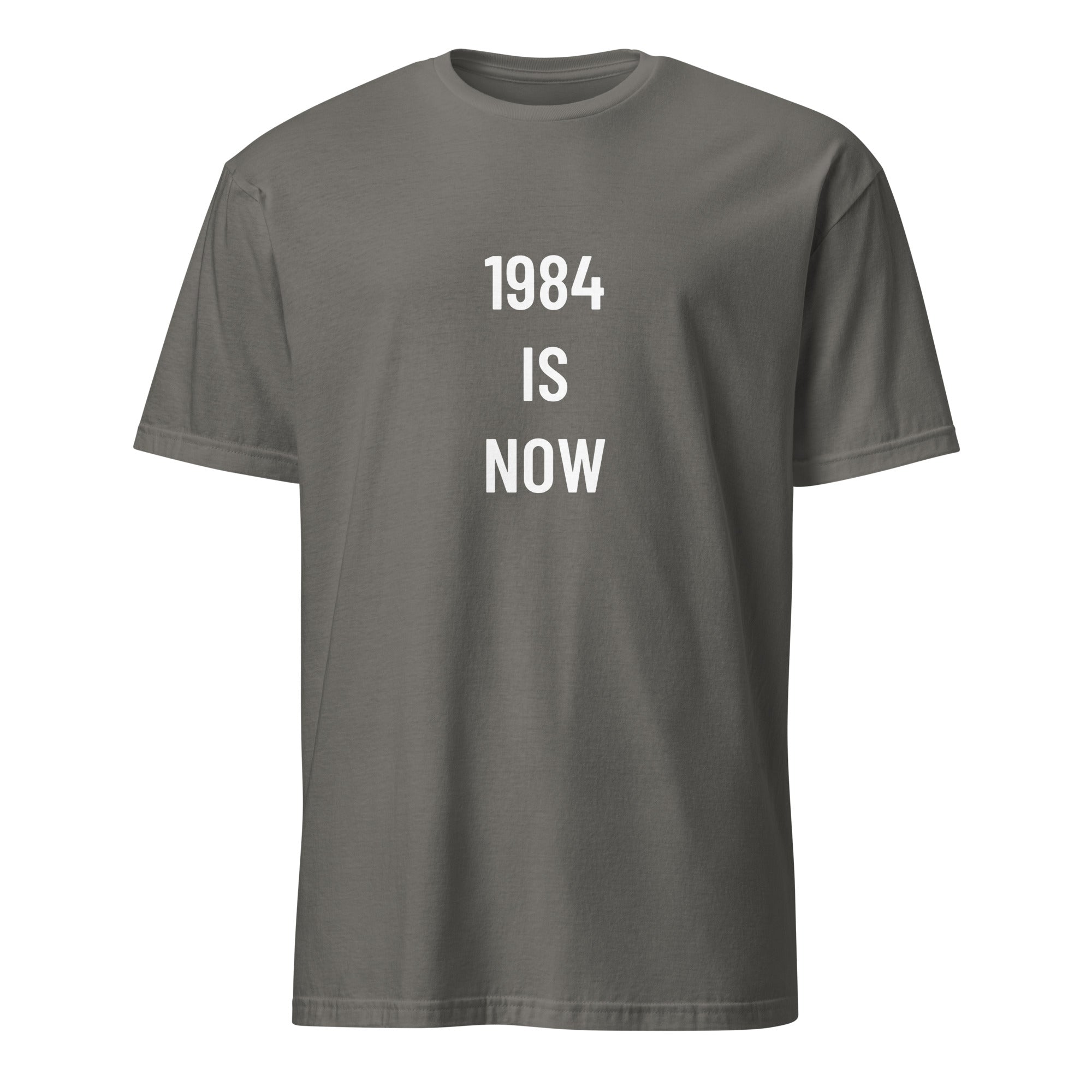 1984 IS NOW statement t-shirt in Grey | BASED ALT-WEAR