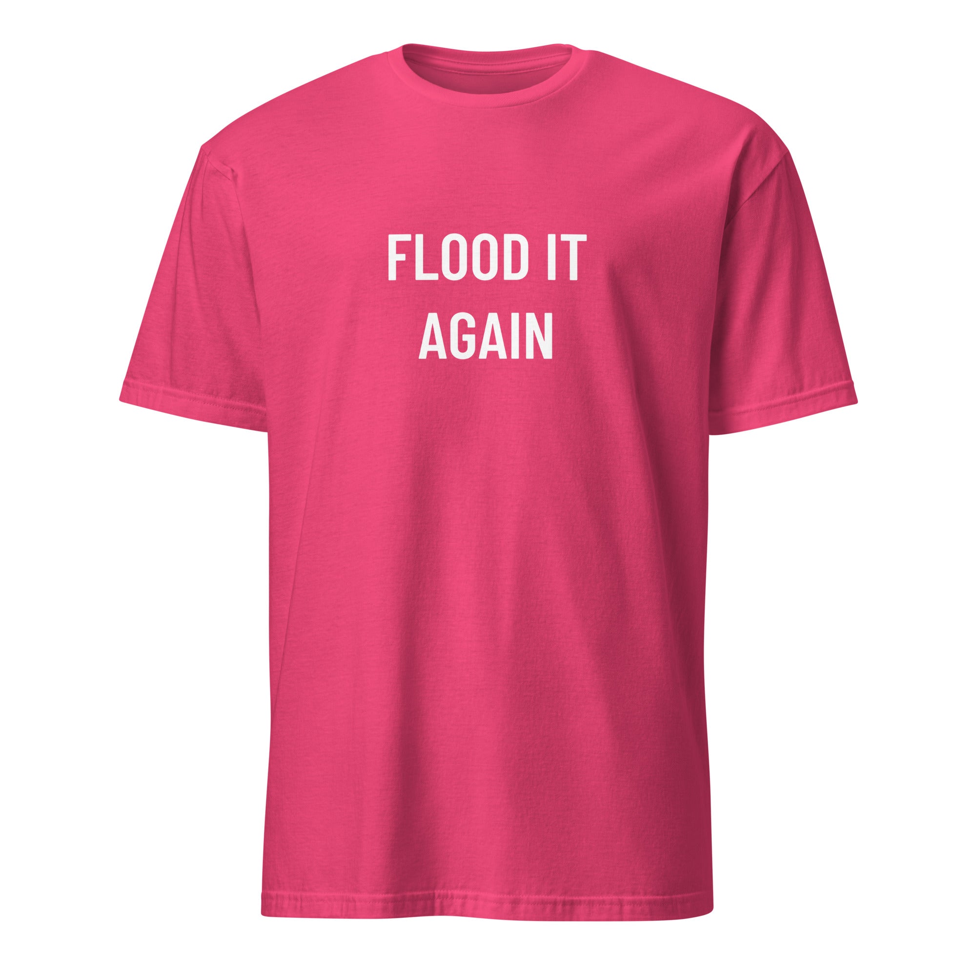 FLOOD IT AGAIN biblical dark-humor statement t-shirt in Pink | BASED ALT-WEAR