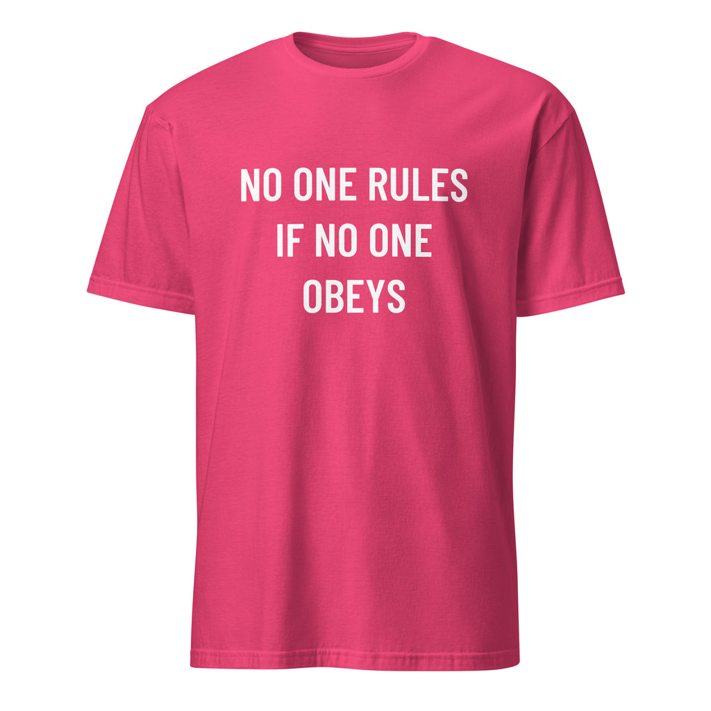 NO ONE RULES IF NO ONE OBEYS anti-authority statement t-shirt in Brown | BASED ALT-WEAR